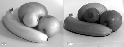 Detection of bruises on fruit. SWIR image taken with Opto E SW05020 lens and ABS GmbH SWIR camera IK1523. Image courtesy of ABS GmbH